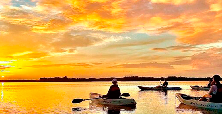 Extreme Sports Waterboarding